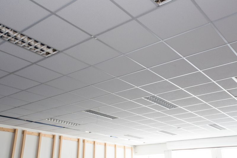 T Bar Ceiling Installation Service