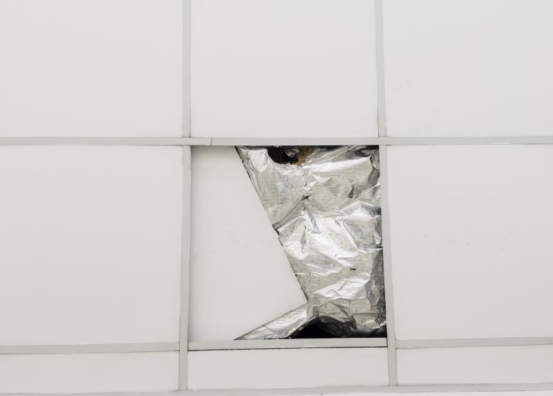 Ceiling Tiles Repair in Boulder, CO