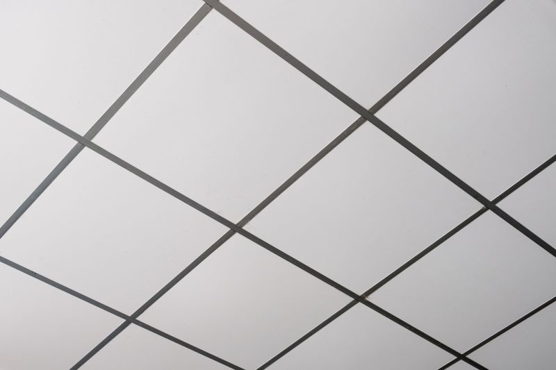 Grid Ceiling Installation in Longmont, CO