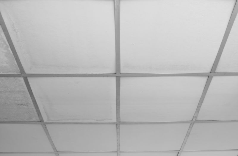 Grid Ceiling Repair in Boulder, CO