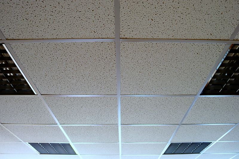 Decorative Ceiling Tiles